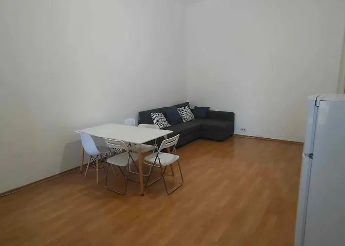 Large 4 Room Apartment In The Center Of Vienna