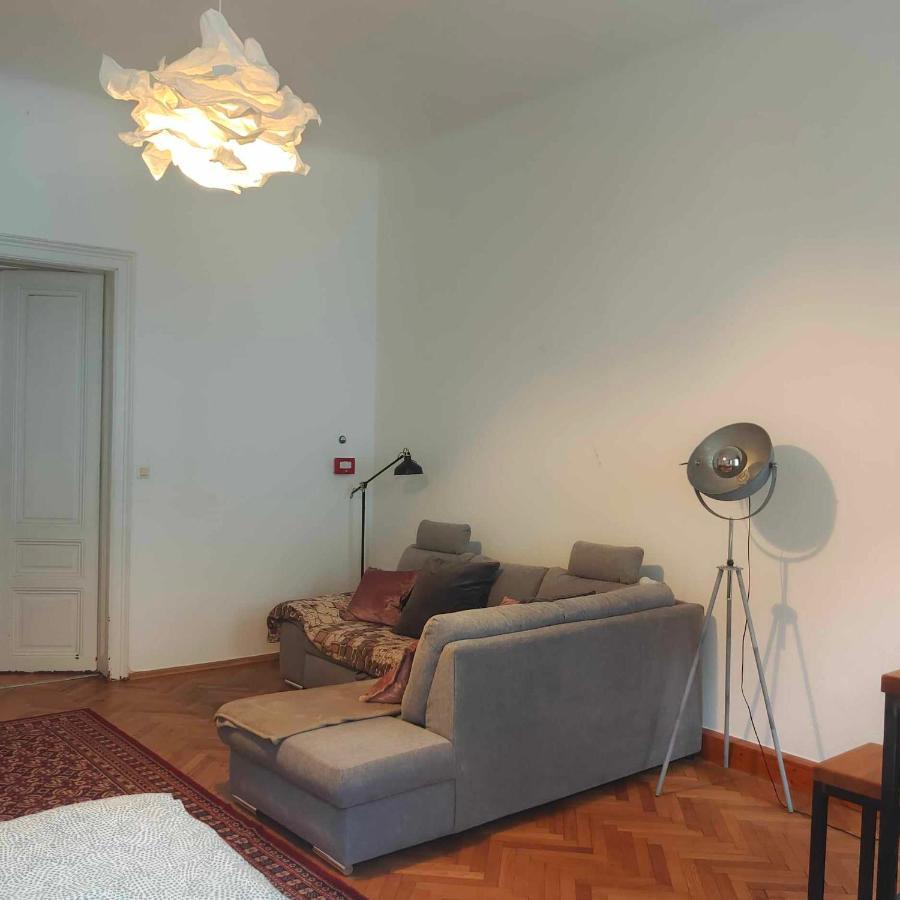 Apartment Large 4 In The Center Of